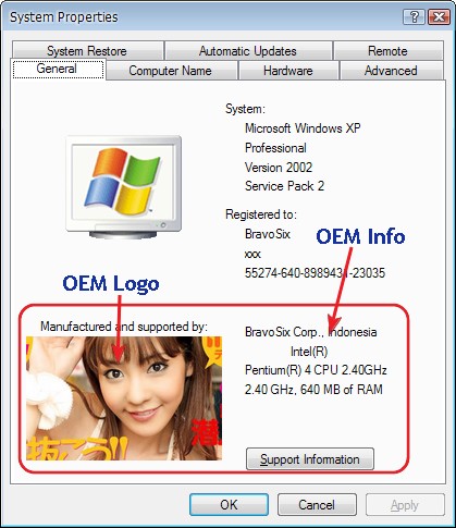 OEM Logo dan Info Windows Properties